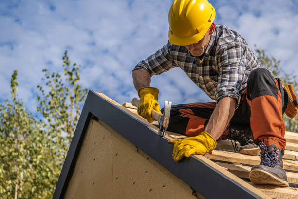 Best Asphalt Shingle Roofing  in Blountville, TN